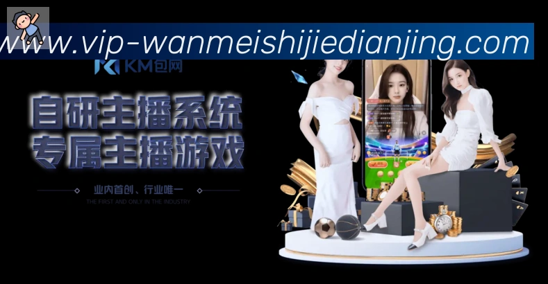 登录器